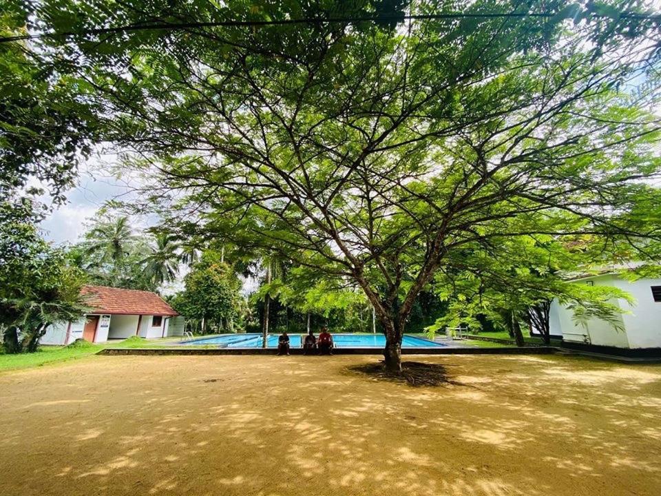 Randiyaepiliyagoda Resort 阿维瑟韦勒 外观 照片