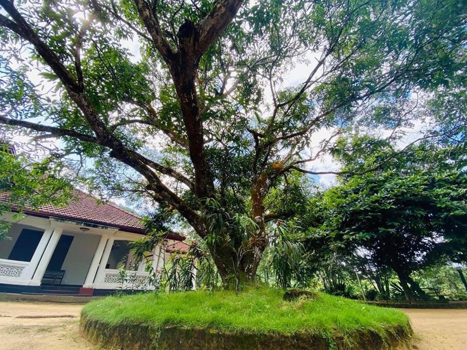 Randiyaepiliyagoda Resort 阿维瑟韦勒 外观 照片