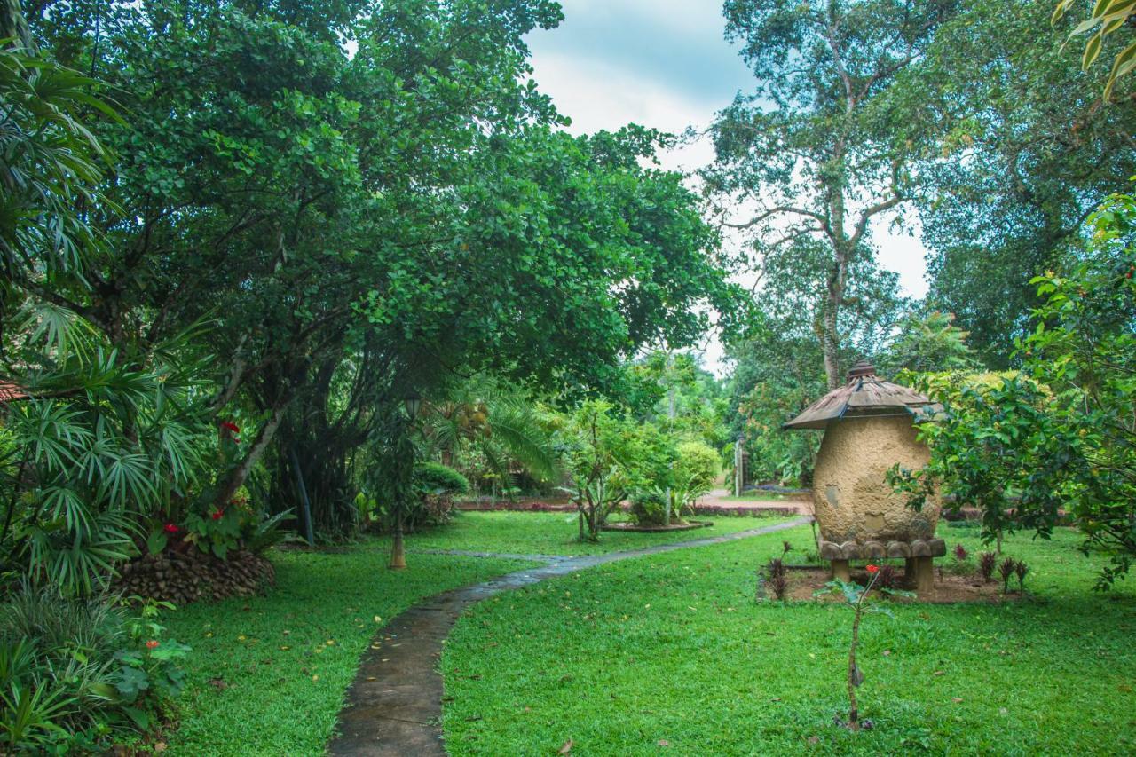Randiyaepiliyagoda Resort 阿维瑟韦勒 外观 照片