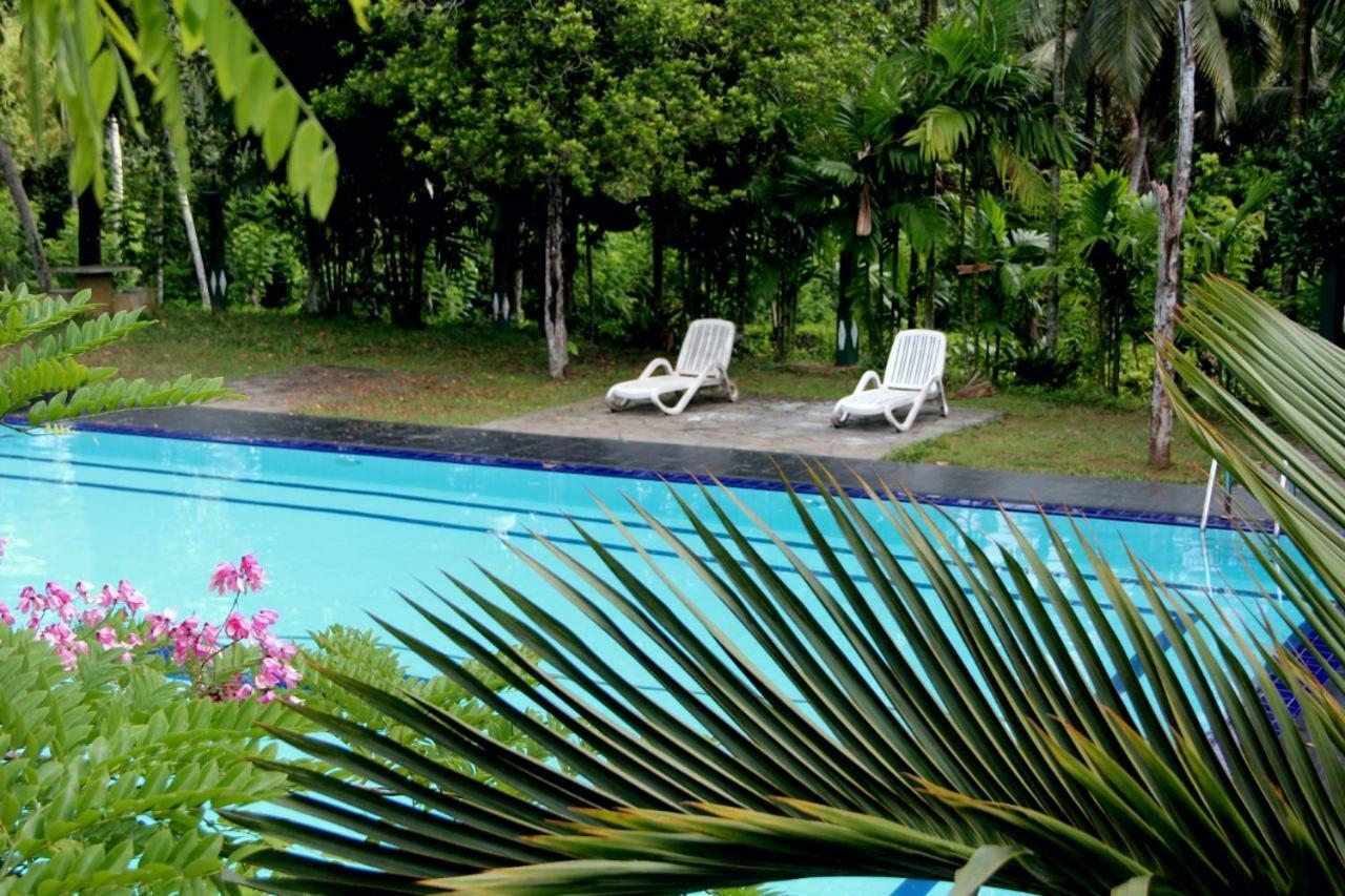 Randiyaepiliyagoda Resort 阿维瑟韦勒 外观 照片